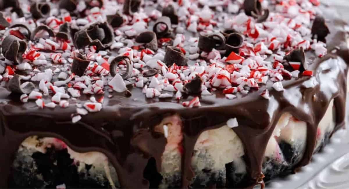 Up close image of Instant Pot peppermint cheesecake.