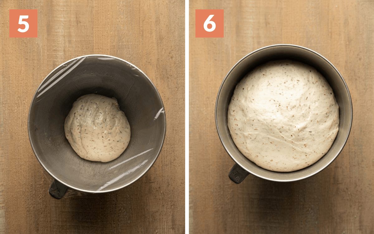 steps 5 & 6 dough before proofing risen dough