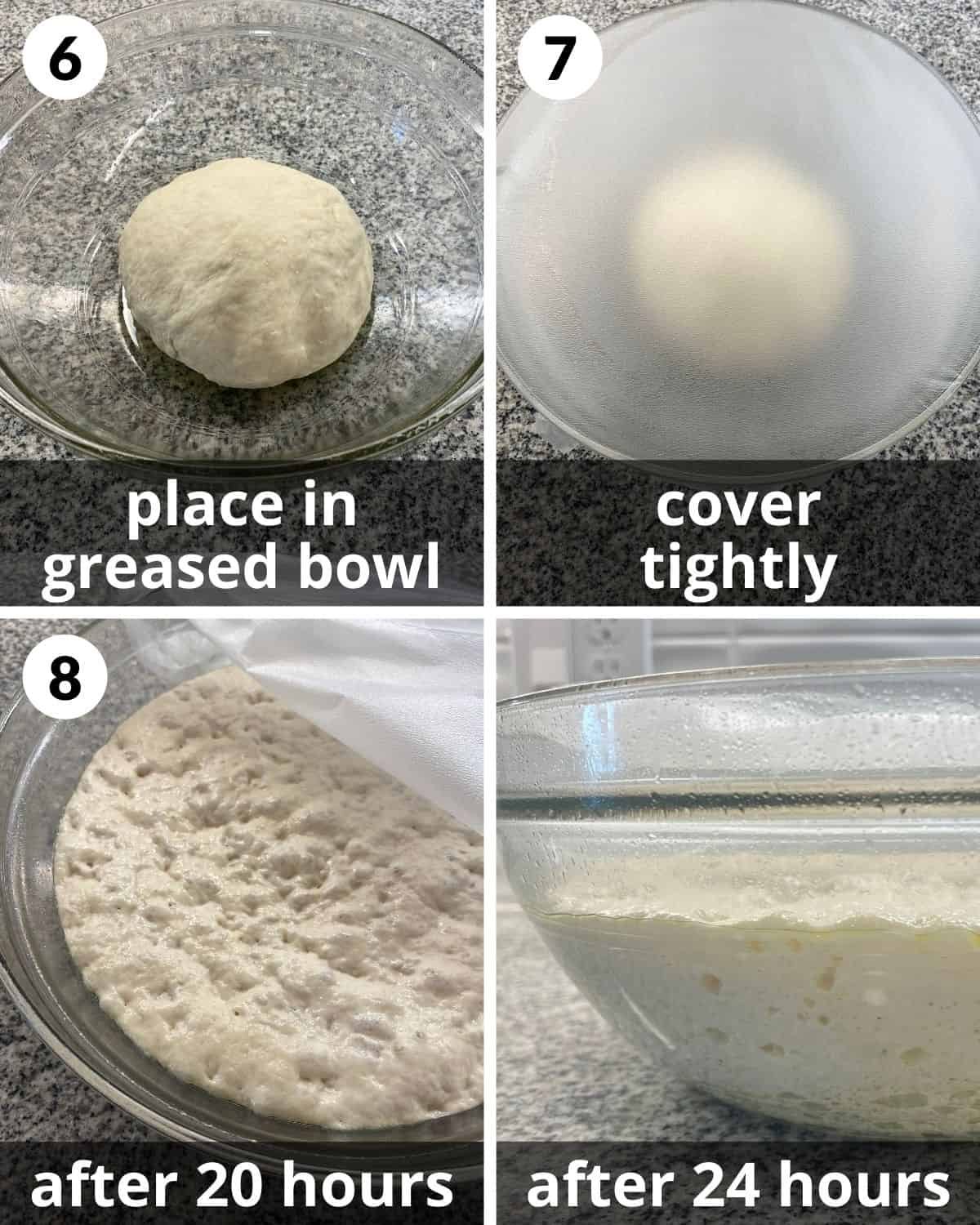 4 photos. Dough in greased bowl. Bowl covered. Dough with bubbles on top and side.
