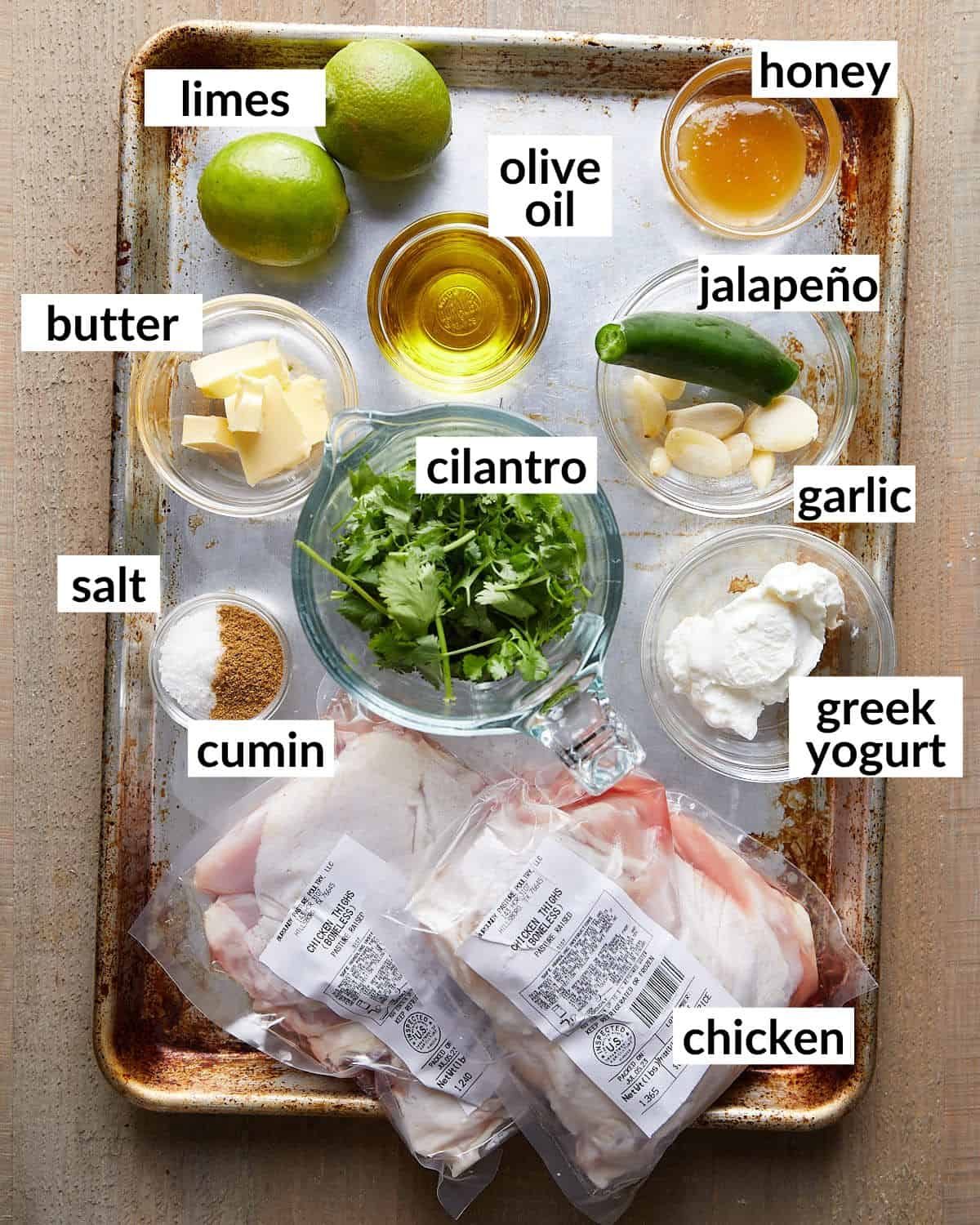 Overhead image of ingredients needed to make air fryer cilantro lime chicken.