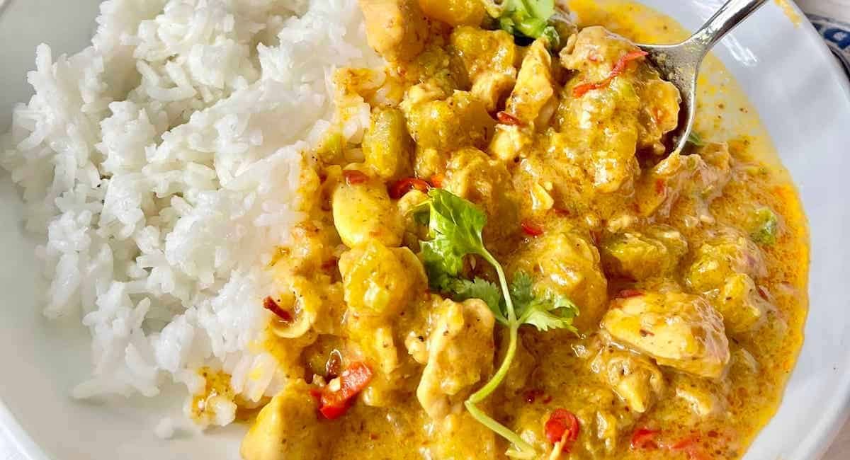 Overhead image of chicken pumpkin curry recipe on white dish.