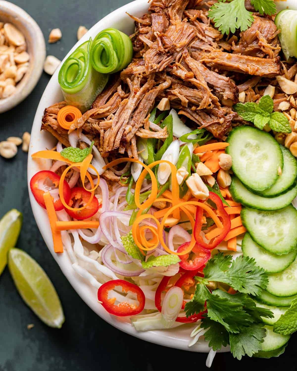 Up close image of Asian pulled pork rice bowl with garnish.