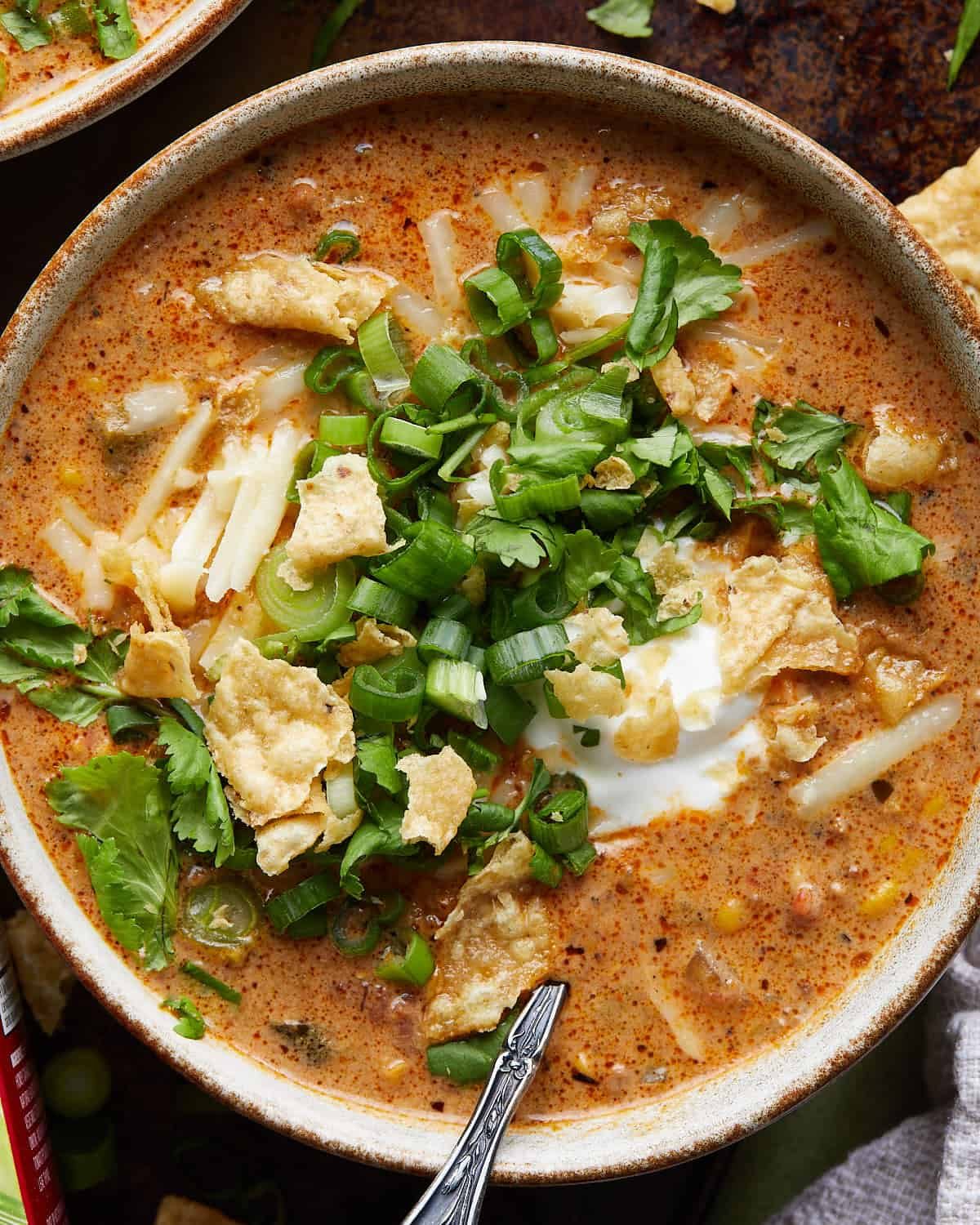 Up close image of beef enchilada soup with garnish.
