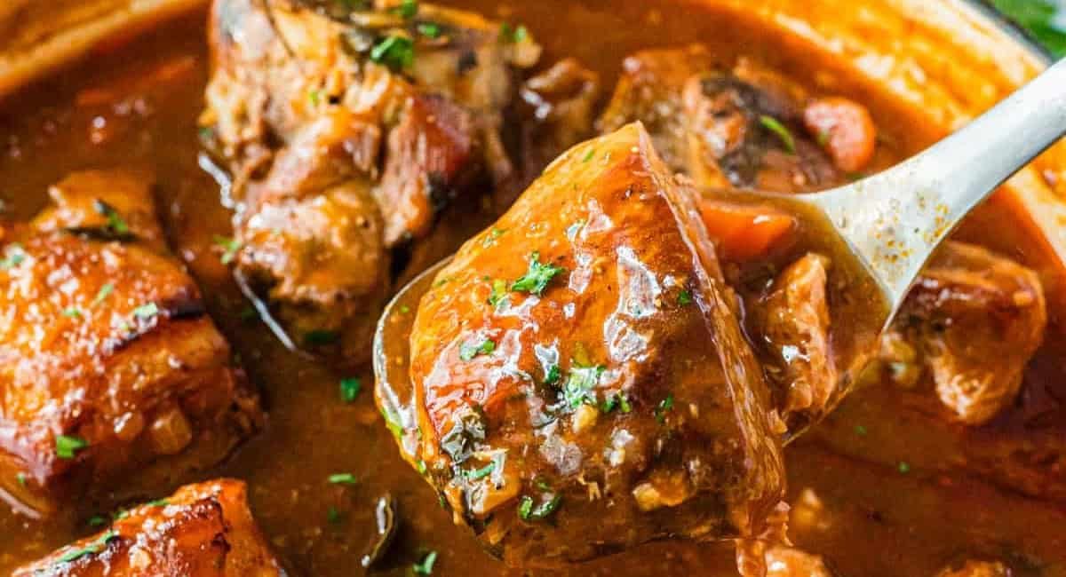 Up close image of braised pork shoulder with garnish.