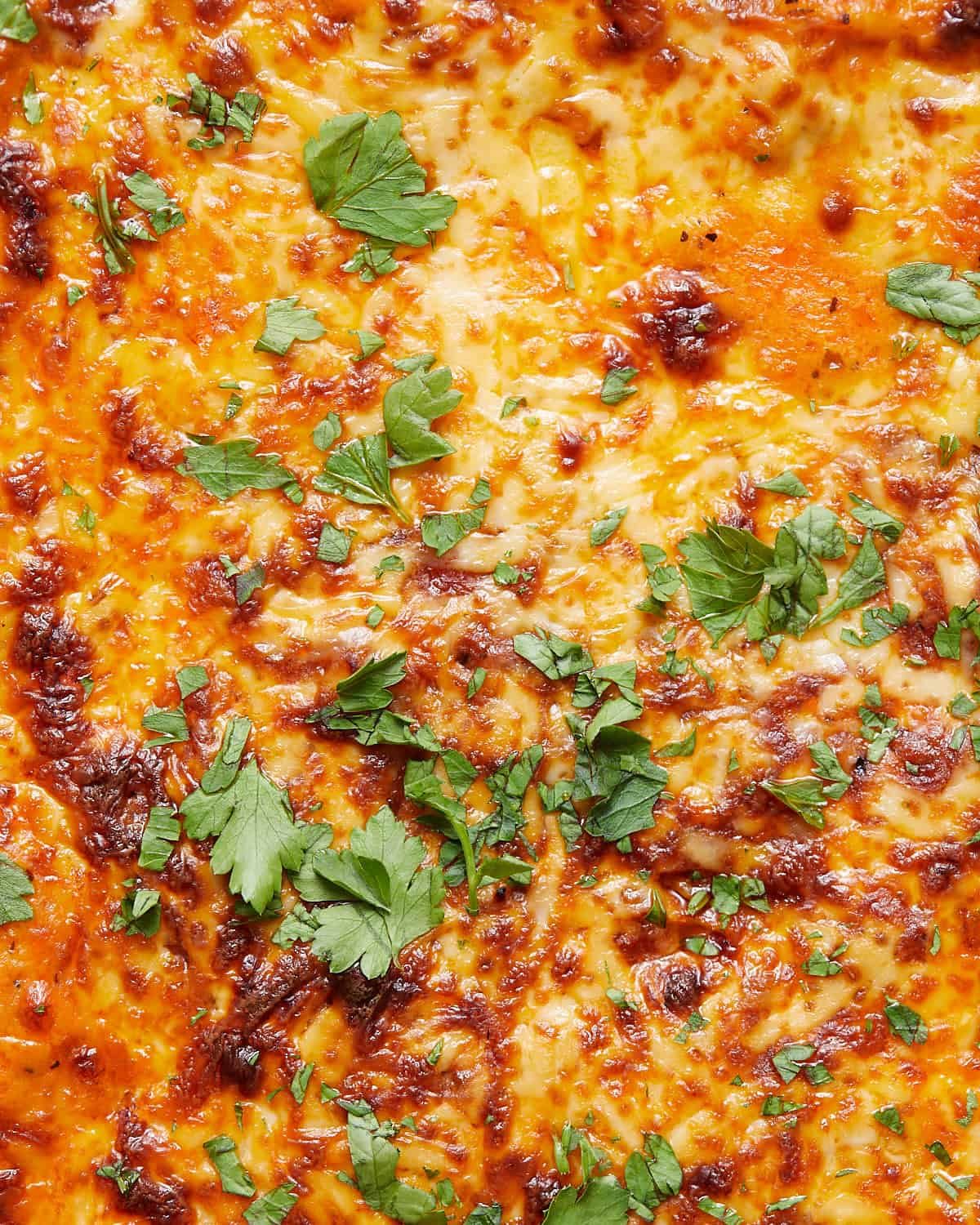 Up close image of cheesy baked spaghetti with garnish.