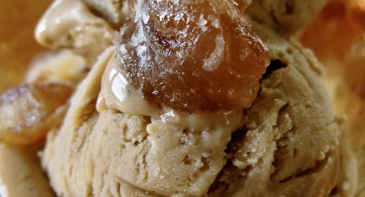 Up close image of chestnut and vanilla ice cream.