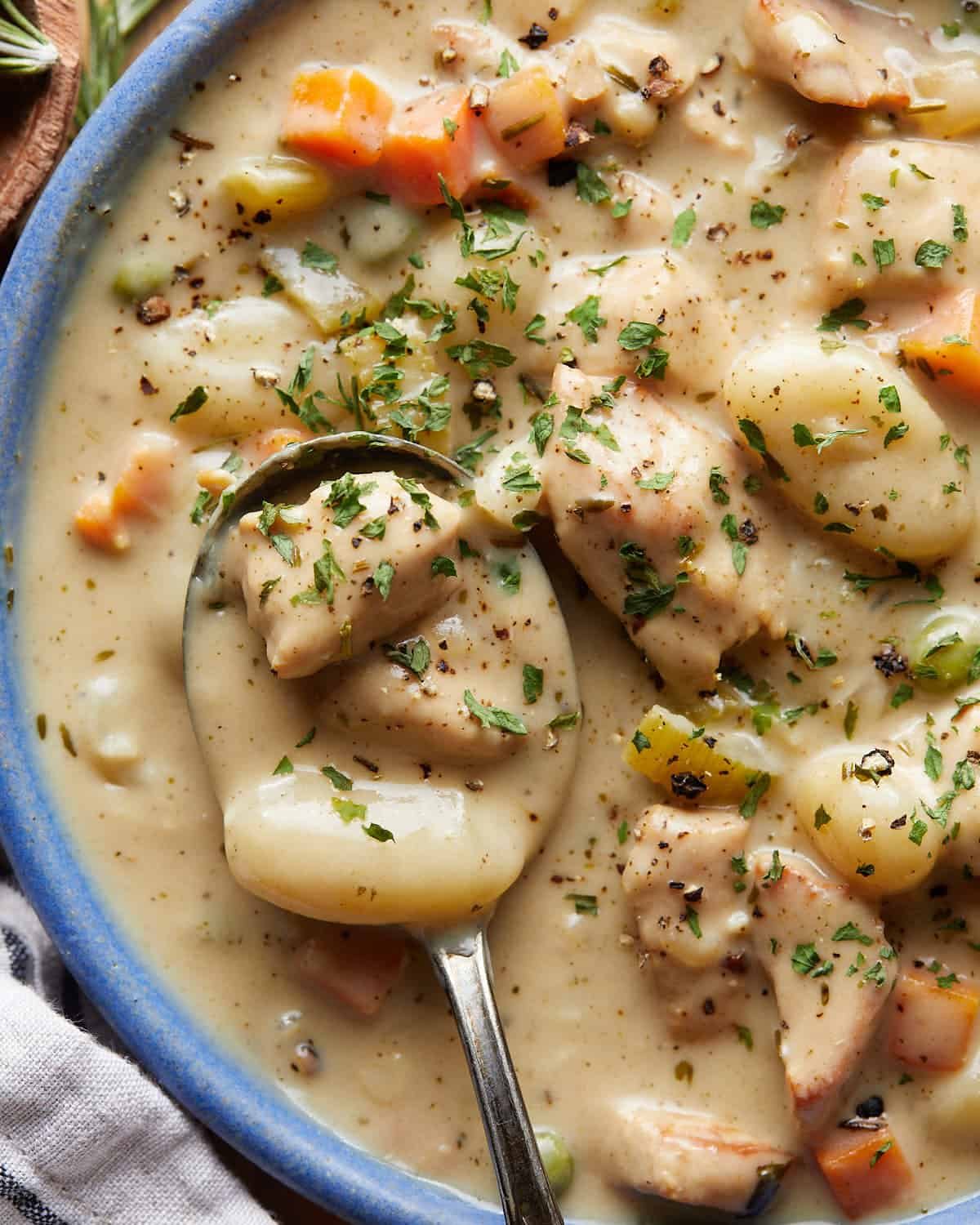 Overhead up close image of chicken and dumplings with gnocchi.