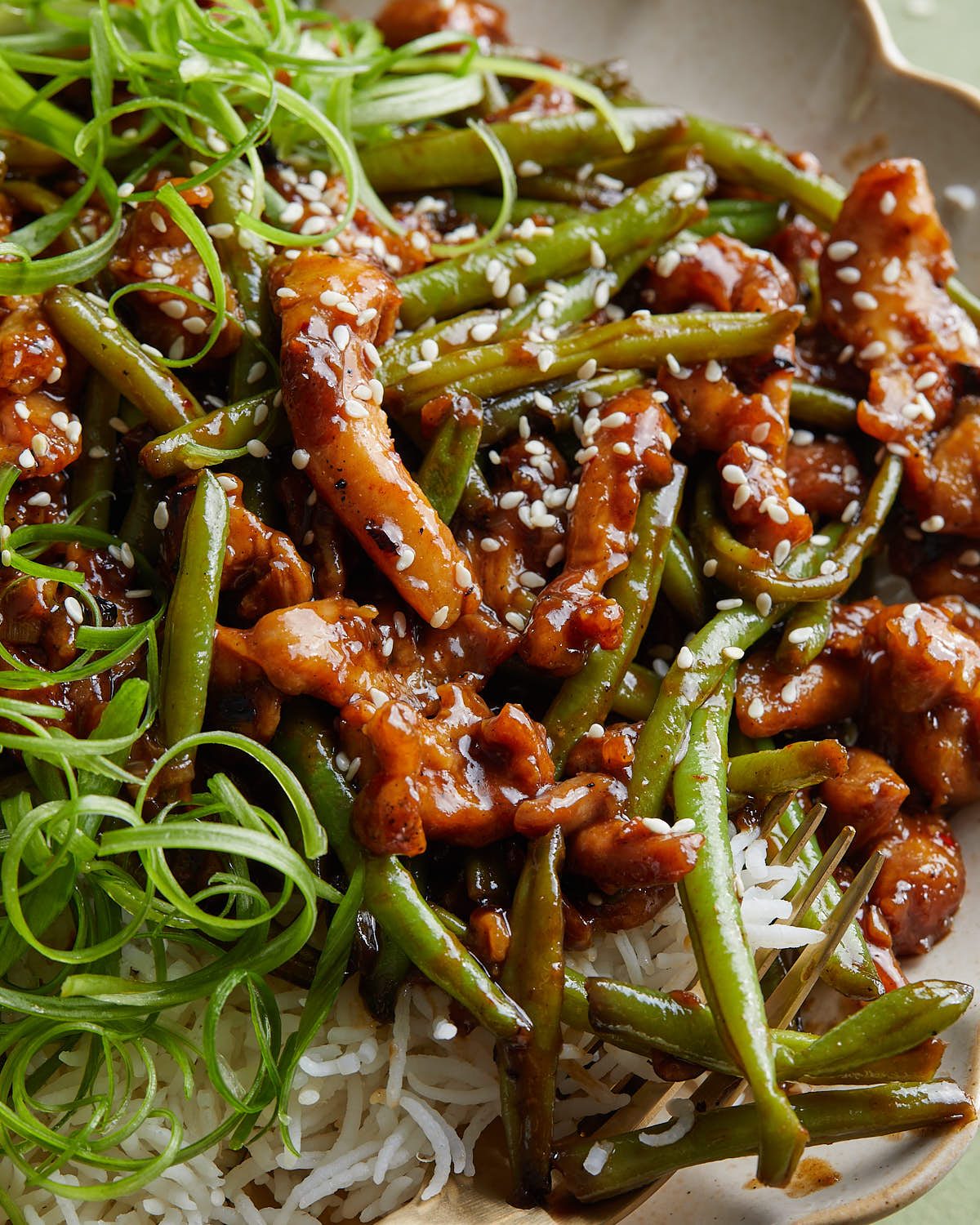 Up close image of green bean chicken stir fry with garnish.