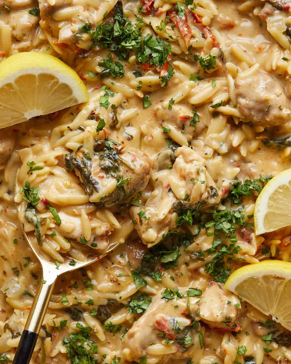 Up close overhead image of chicken and orzo bake with garnish.