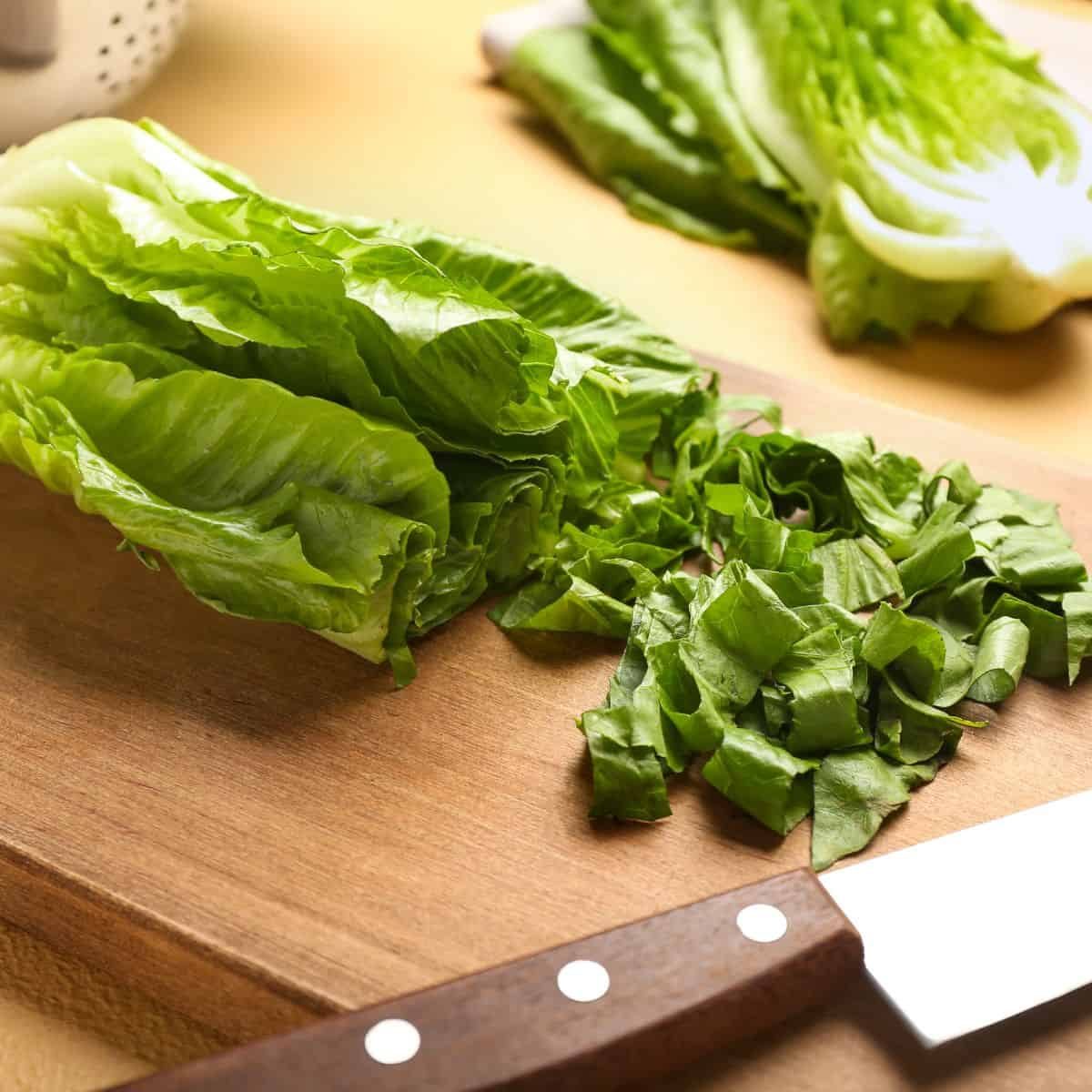 How To Cut Romaine Lettuce for Salad (Caesar, etc.)