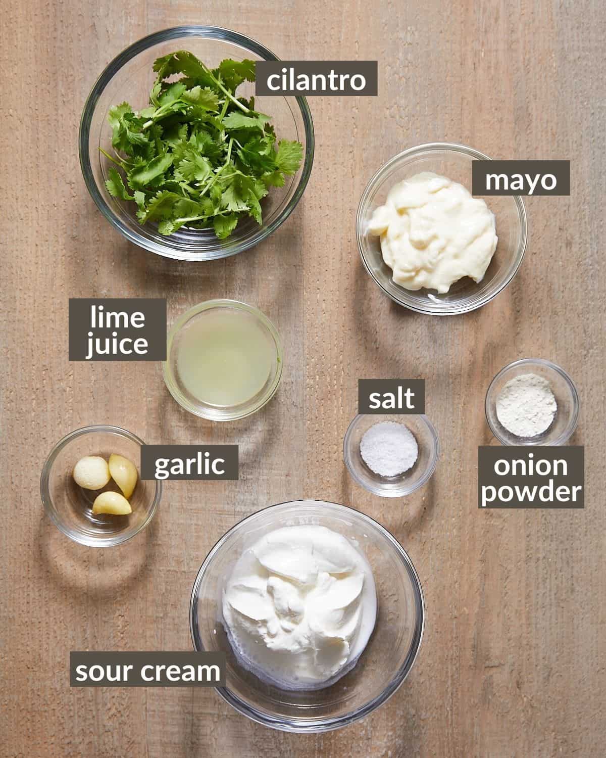 Overhead shot of ingredients for cilantro garlic sauce.