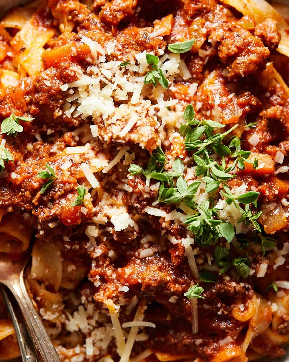Up close shot of creamy bolognese.
