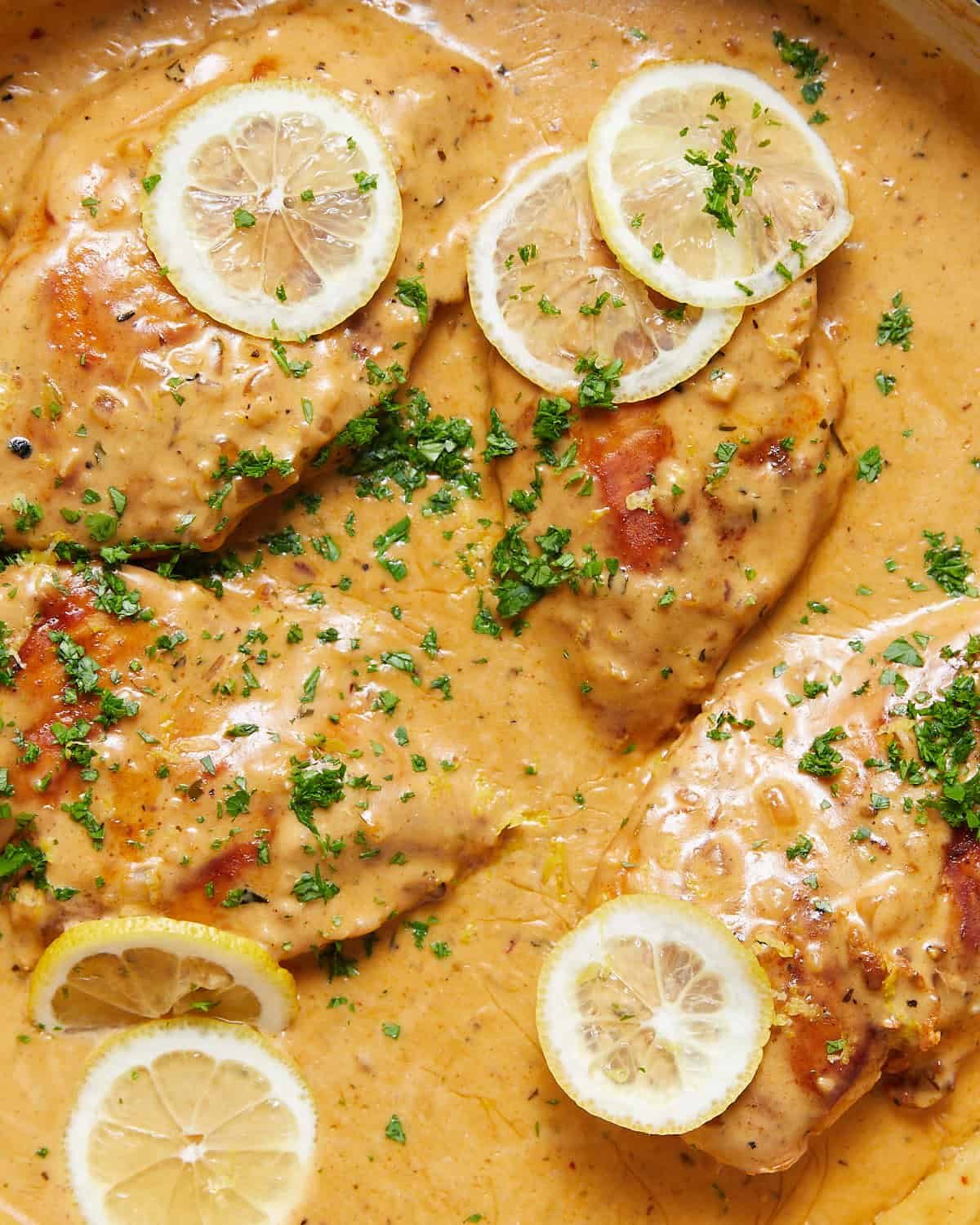 Up close image of creamy lemon chicken with garnish.
