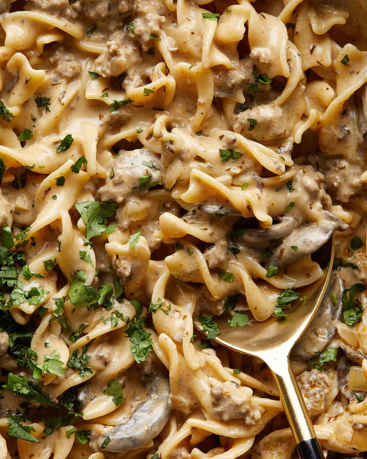 Up close image of beef stroganoff with ground beef and garnish.
