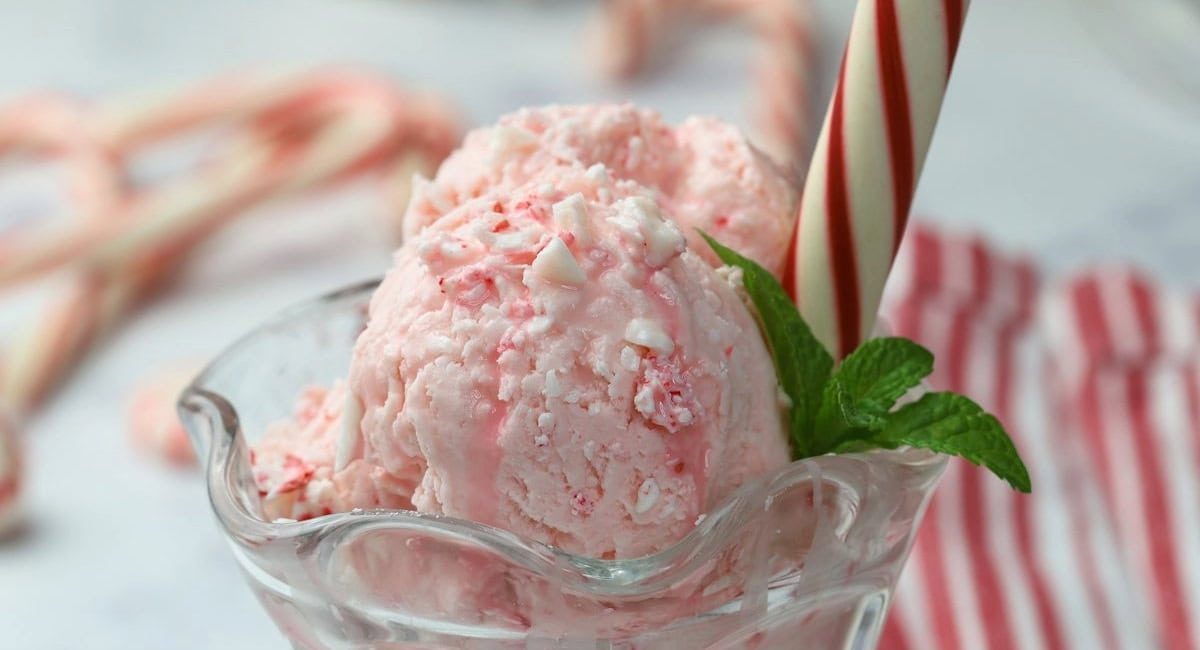 Up close image of peppermint ice cream with garnish.