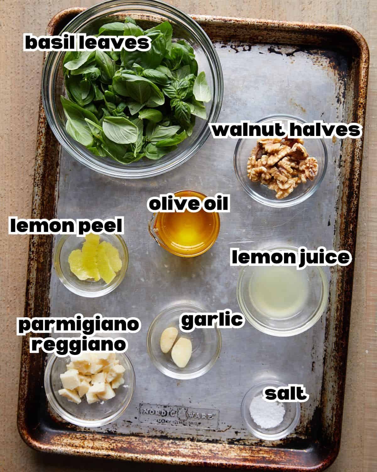 Overhead image of ingredients needed to make pesto without pine nuts.