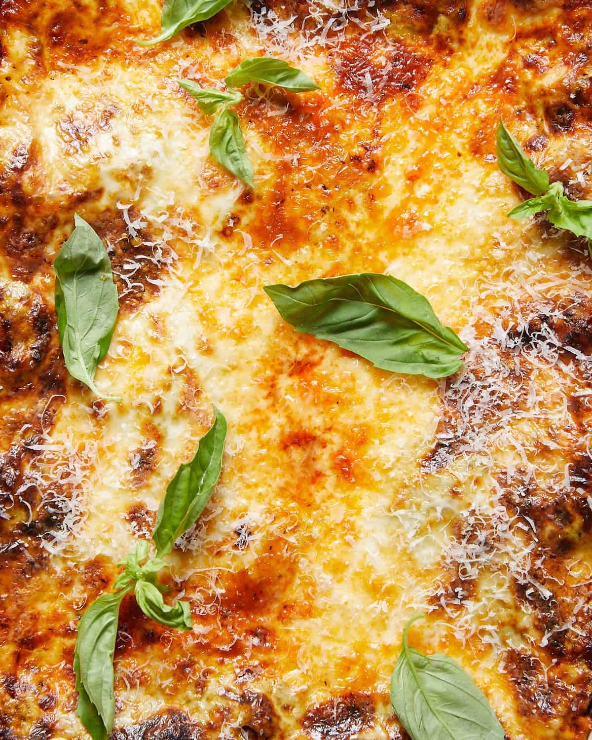 Up close image of lasagna with béchamel sauce and garnish.