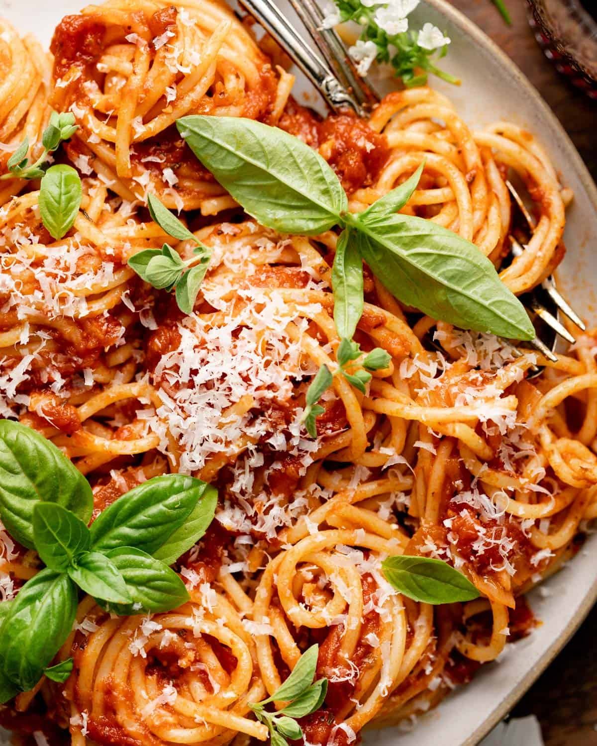 closeup on spaghetti with sauce