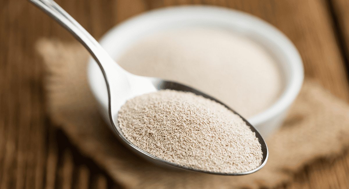 Up close image of nutritional yeast in spoon.