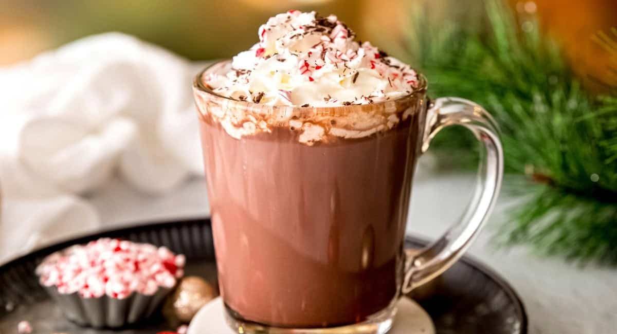 Side image of peppermint hot chocolate in glass mug with garnish.