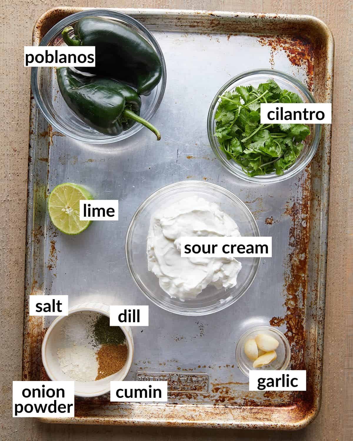 An overhead image of ingredients needed to make poblano cream sauce.