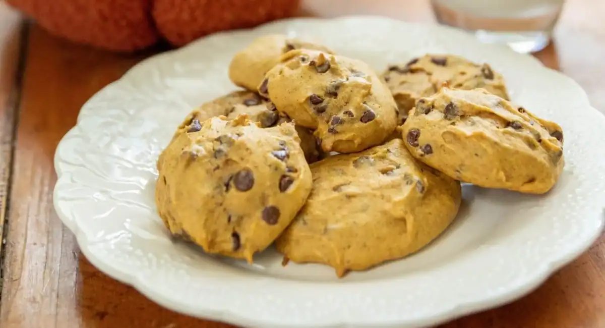 Up close image of pumpkin chocolate chip cookies on white dish.