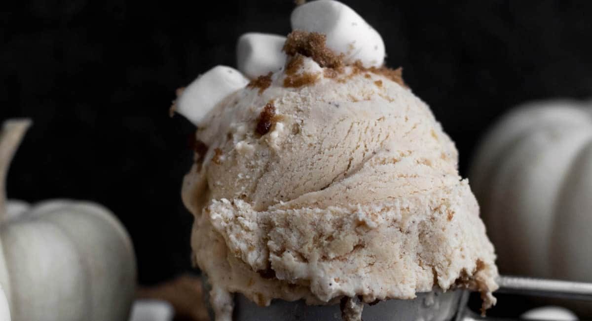 Up close image of pumpkin spice ice cream with garnish.