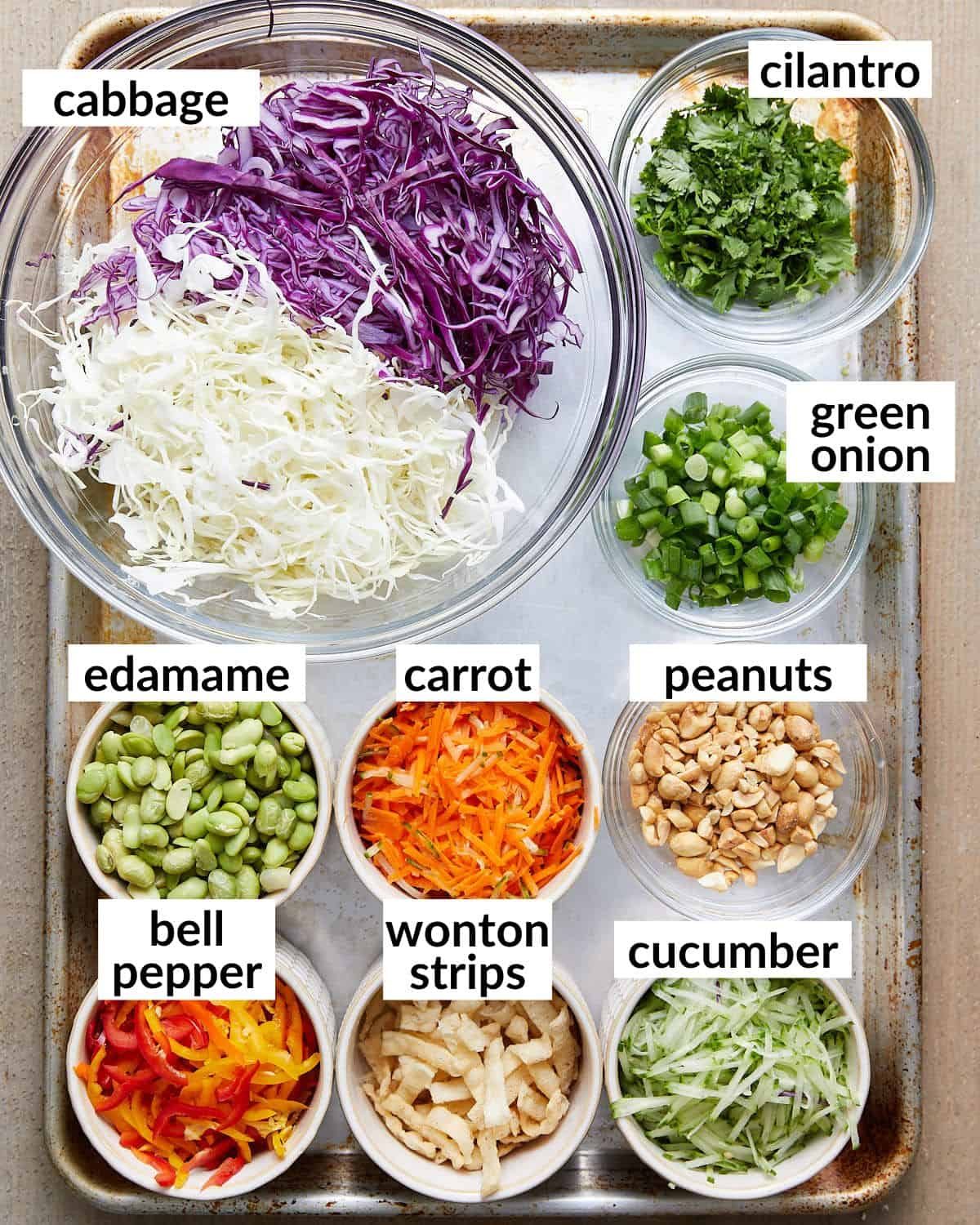Overhead image of ingredients needed for asian cabbage salad.