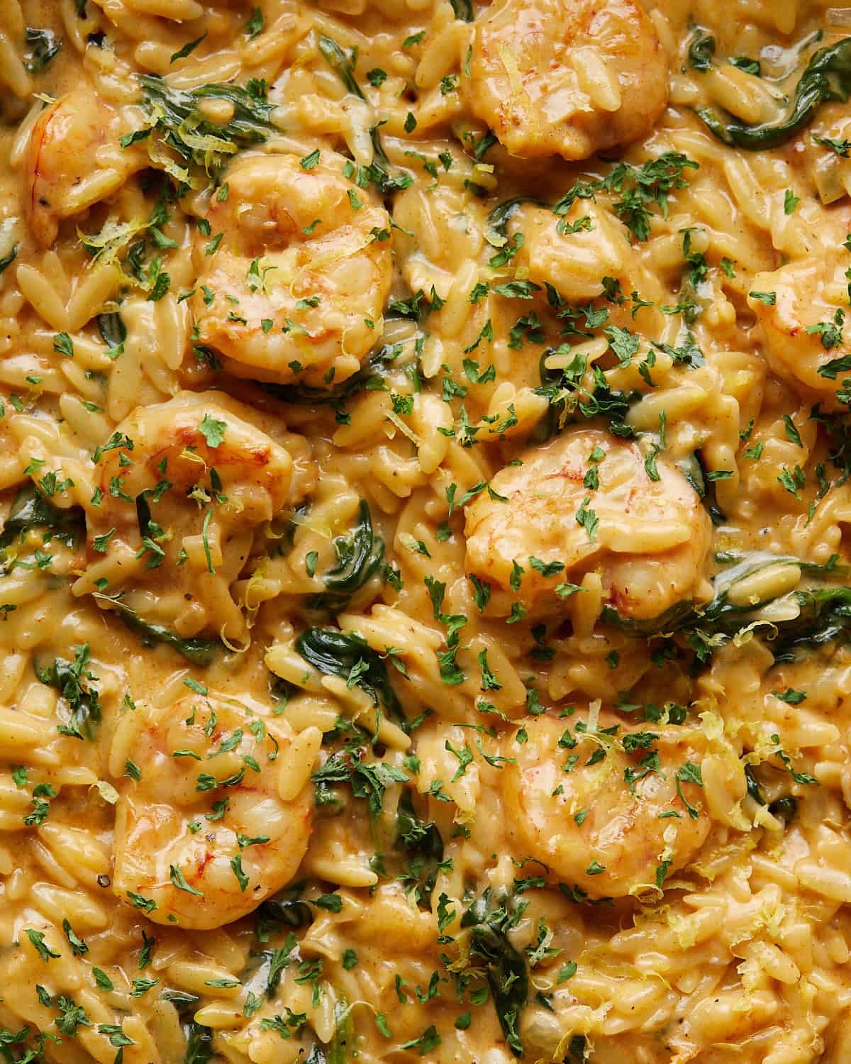 Up close image of shrimp orzo with garnish.