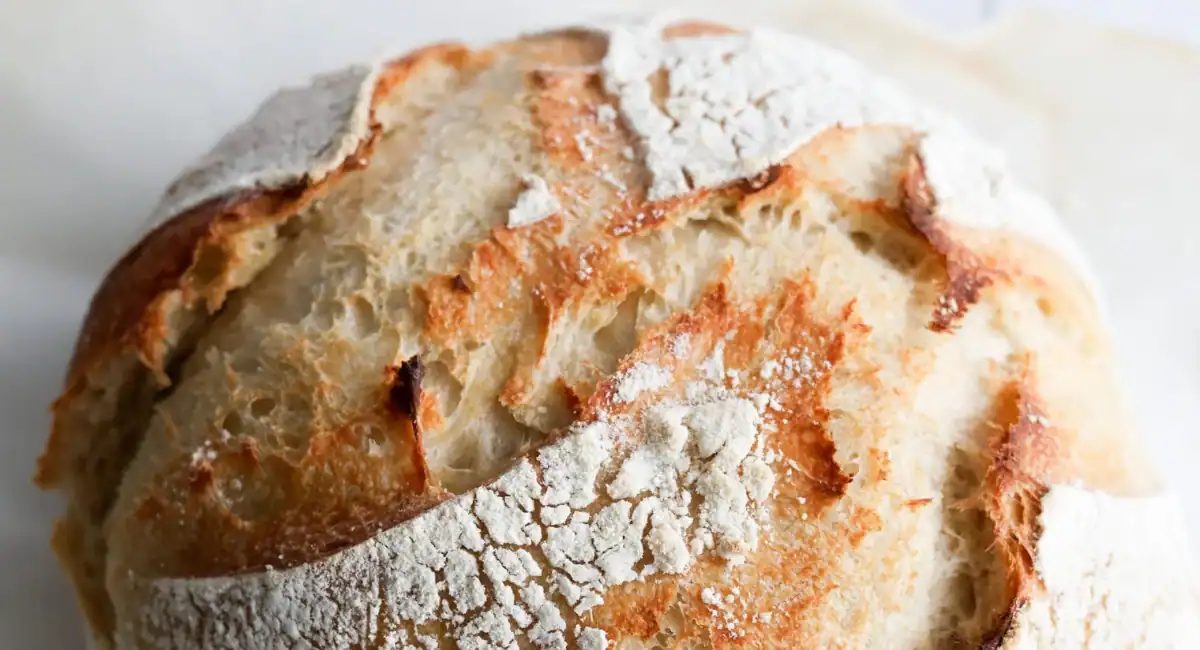 Up close image of artisan sourdough loaf.