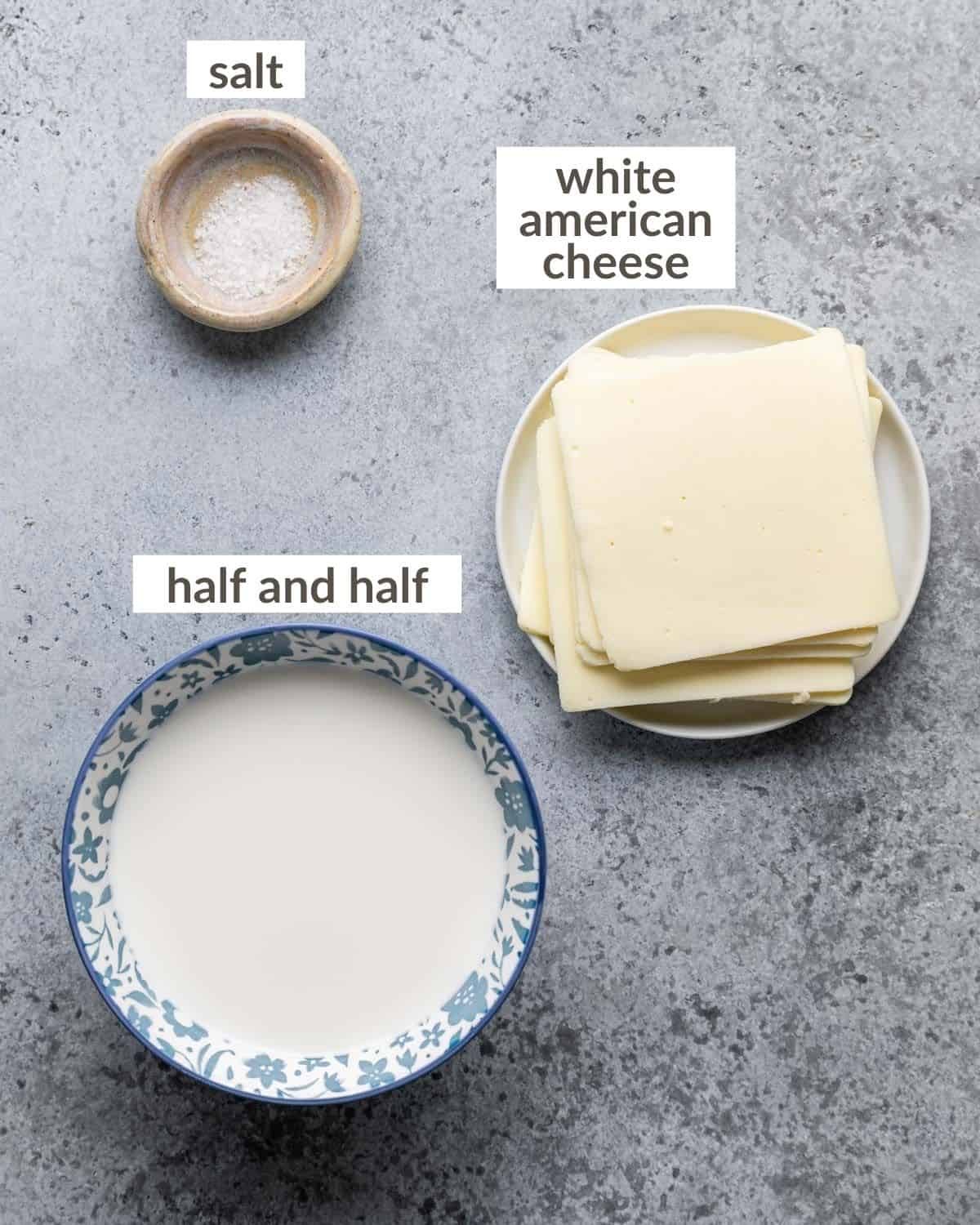 Overhead image of ingredients needed to make queso blanco.