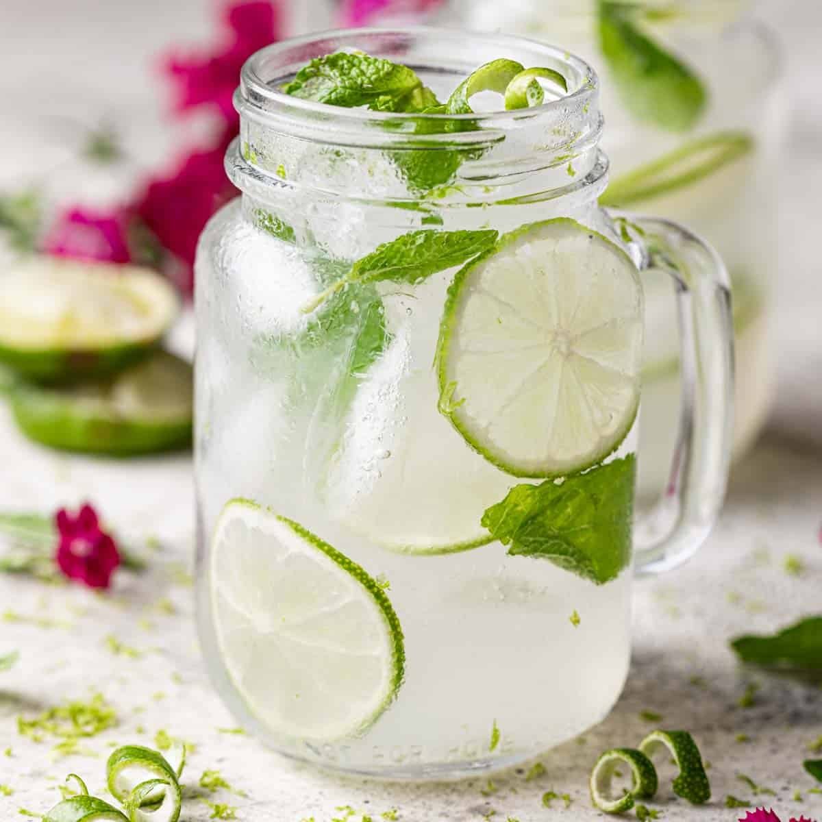 Mexican Mule Recipe (Tequila Mule)