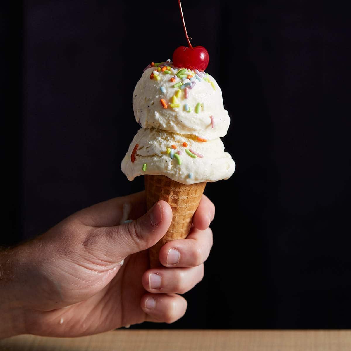 No Egg Vanilla Ice Cream Recipe