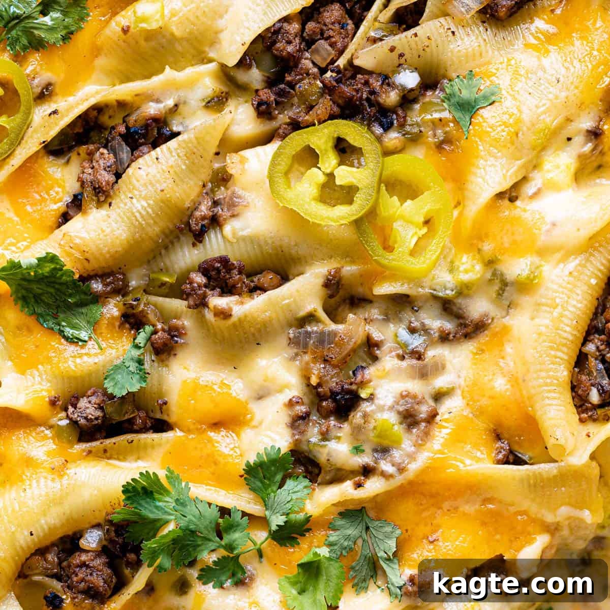 featured 10442