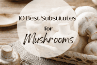 10 Flavorful Mushroom Alternatives