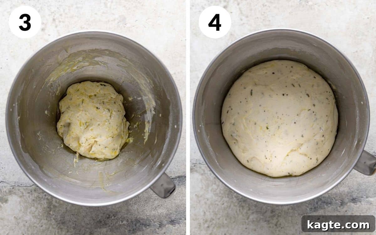 A 2 photo collage showing the middle steps of garlic herb breadsticks.