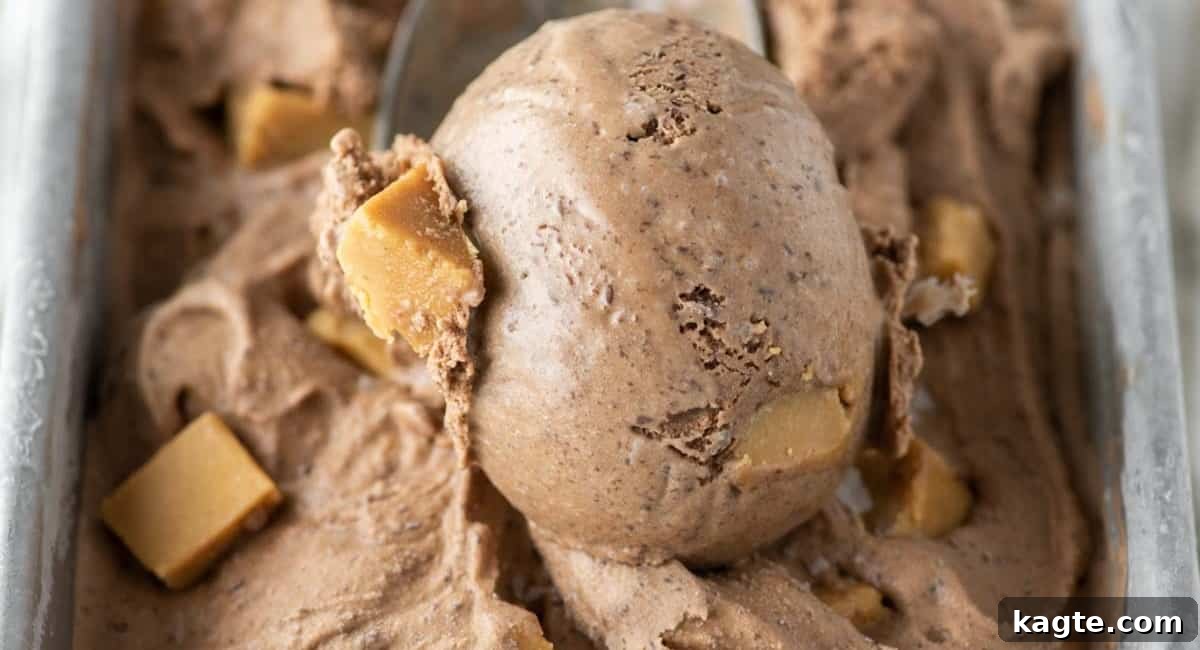 Scoop of dark chocolate peanut butter ice cream in a metal scoop, showing the swirls of peanut butter.