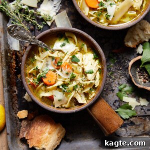 A serving of Dutch oven chicken noodle soup in a bowl with fresh herbs.