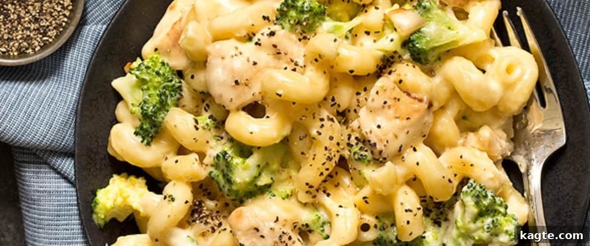 25 Hassle-Free Boneless Chicken Thigh Ideas 12 Creamy Alfredo mac and cheese with chicken, served in a black dish with a fork.