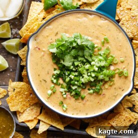 Elevate Your Fish Tacos 25 Perfect Side Dishes 3 The Best Mozzarella Queso
