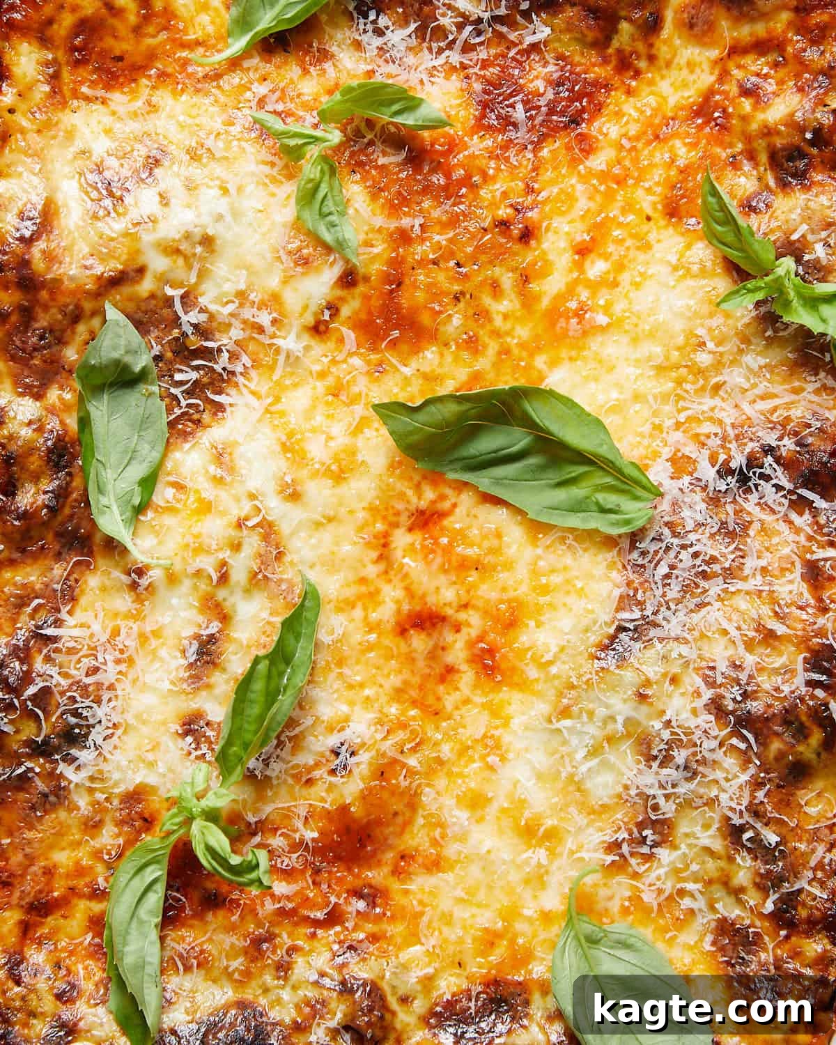 Creamy Béchamel Lasagna 8 Up close image of lasagna with béchamel sauce and garnish.