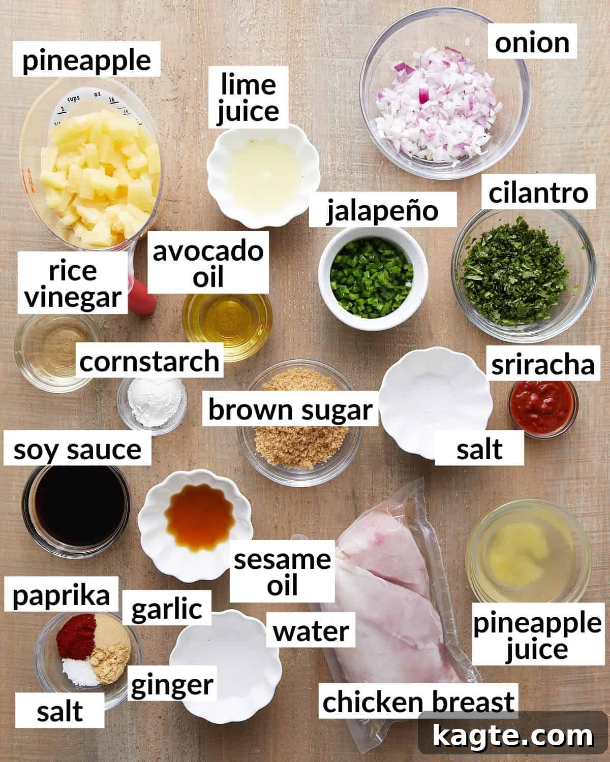 Aloha Chicken Tacos with Fresh Pineapple Salsa 3 Overhead image of ingredients needed for Hawaiian chicken tacos.