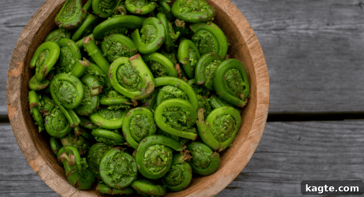 A cluster of raw fiddlehead ferns, coiled tightly and displaying their vibrant green color.