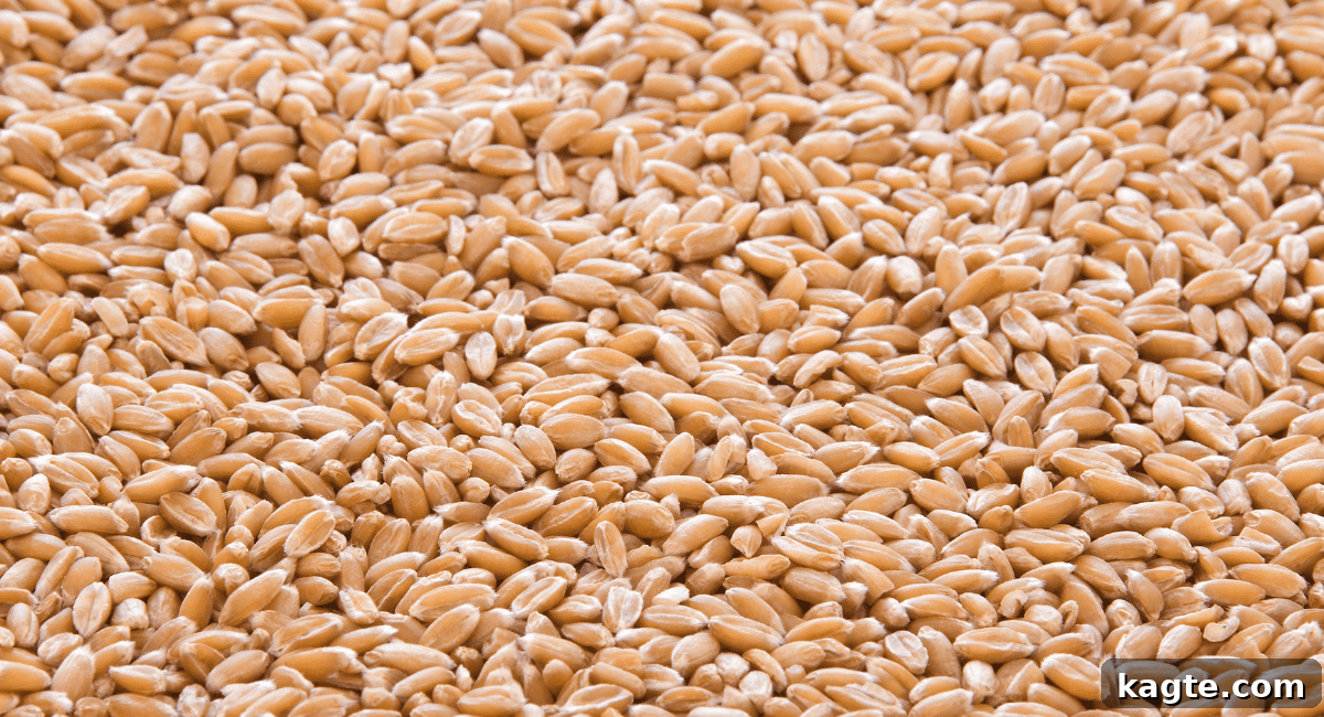No Orzo? No Problem! 20 Clever Substitutes 11 Up close image of spelt berries grain.