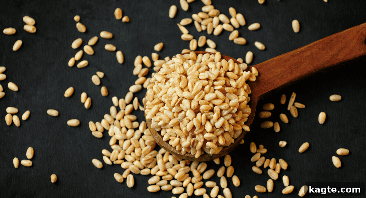 No Orzo? No Problem! 20 Clever Substitutes 12 Overhead image of wheat berries grain.