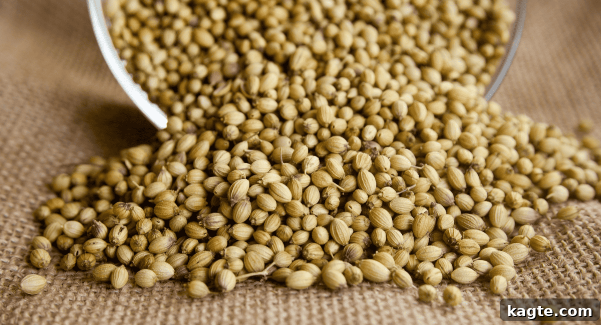 No Orzo? No Problem! 20 Clever Substitutes 22 Up close image of lentils.