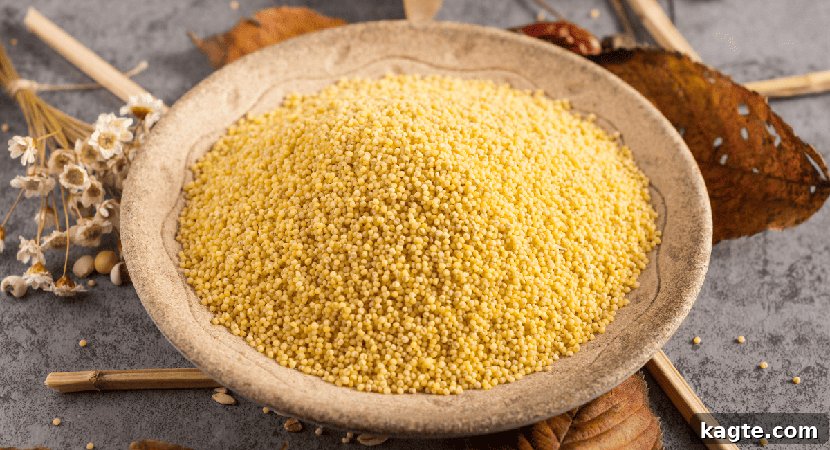 No Orzo? No Problem! 20 Clever Substitutes 10 Overhead image of millet.