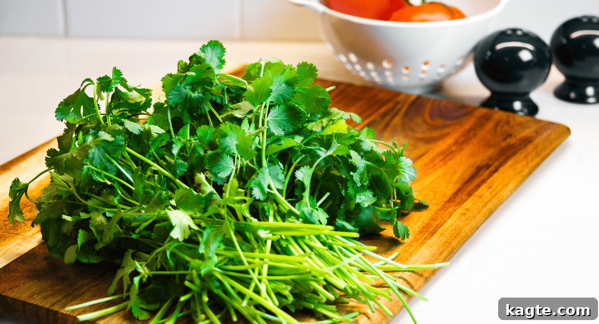 12 Savvy Celery Swaps 7 A vibrant bunch of fresh cilantro with delicate green leaves, often used to add a fresh, bright flavor to dishes.