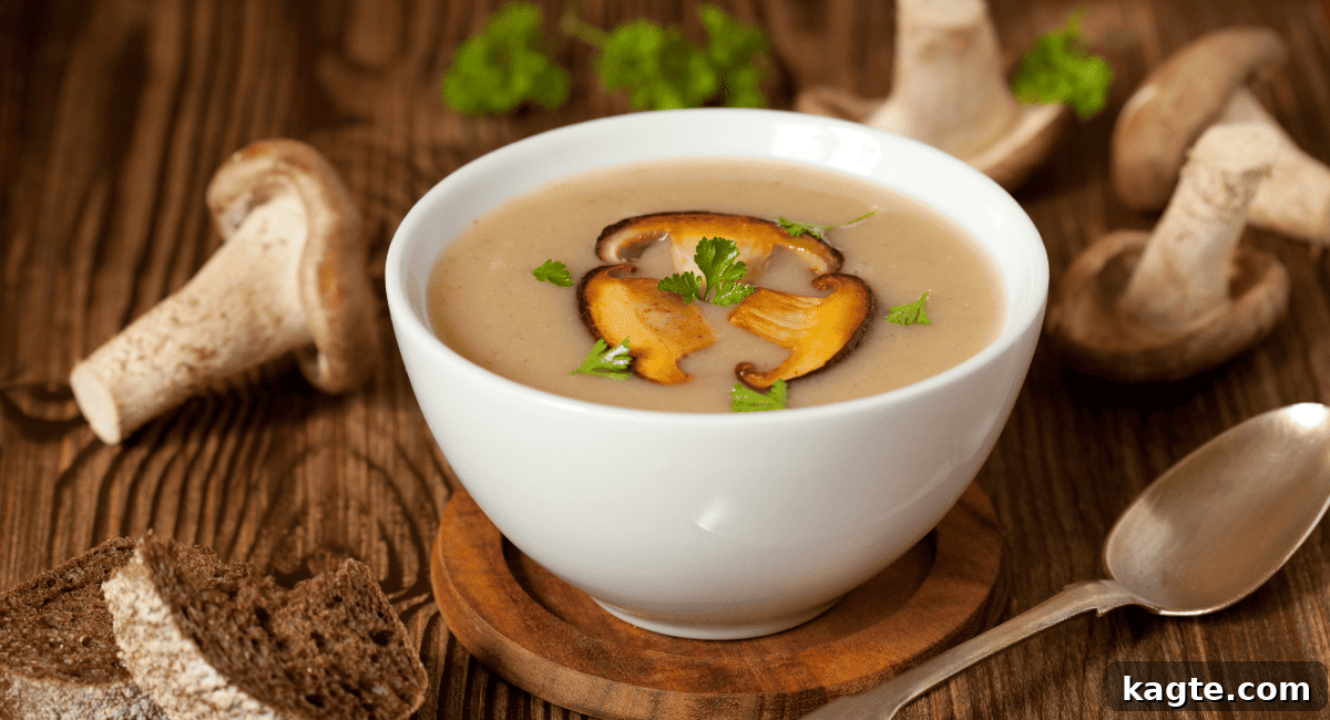 Overhead image of mushroom broth.