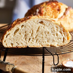 Rustic Bread Recipe